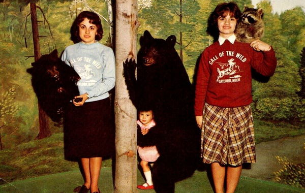 Call of the Wild - Vintage Promo Material